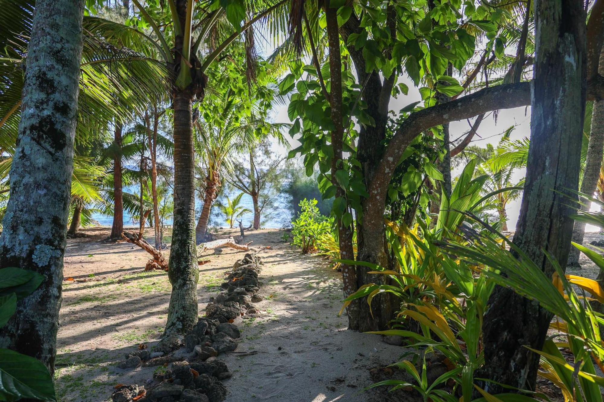 Inave Holidays Đảo Đảo Rarotonga Ngoại thất bức ảnh